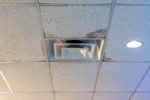Mold growth around air handler vent