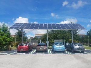 Four electric vehicles charging under photovoltaic array.